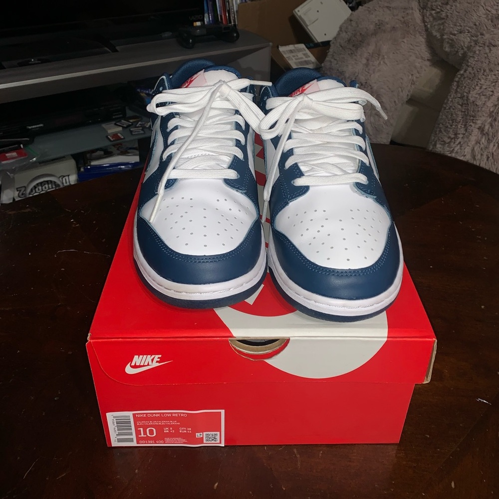 Nike Dunk Low Retro Valerian Blue